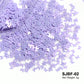 Holographic Nail Glitter Flakes