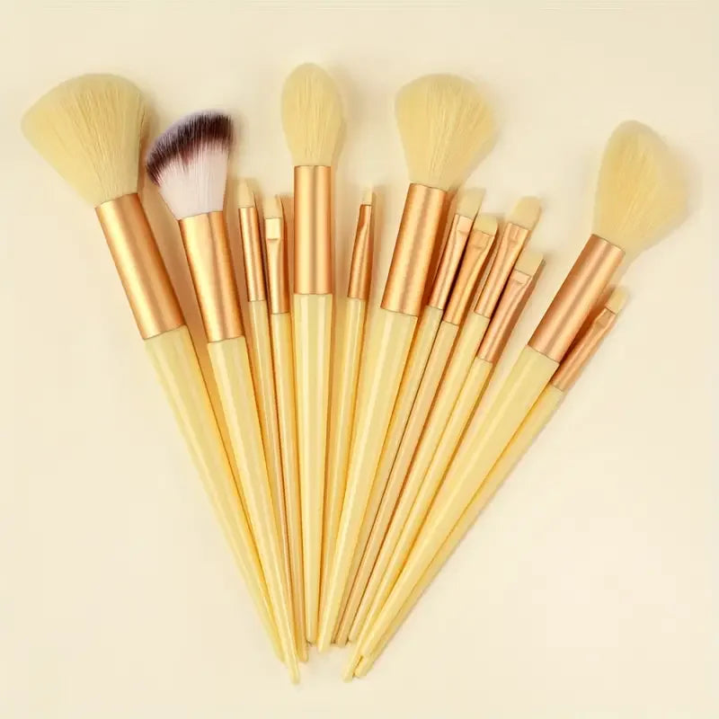 Thirteen Piece Brush Collection