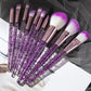 Ten Piece Makeup Brushes
