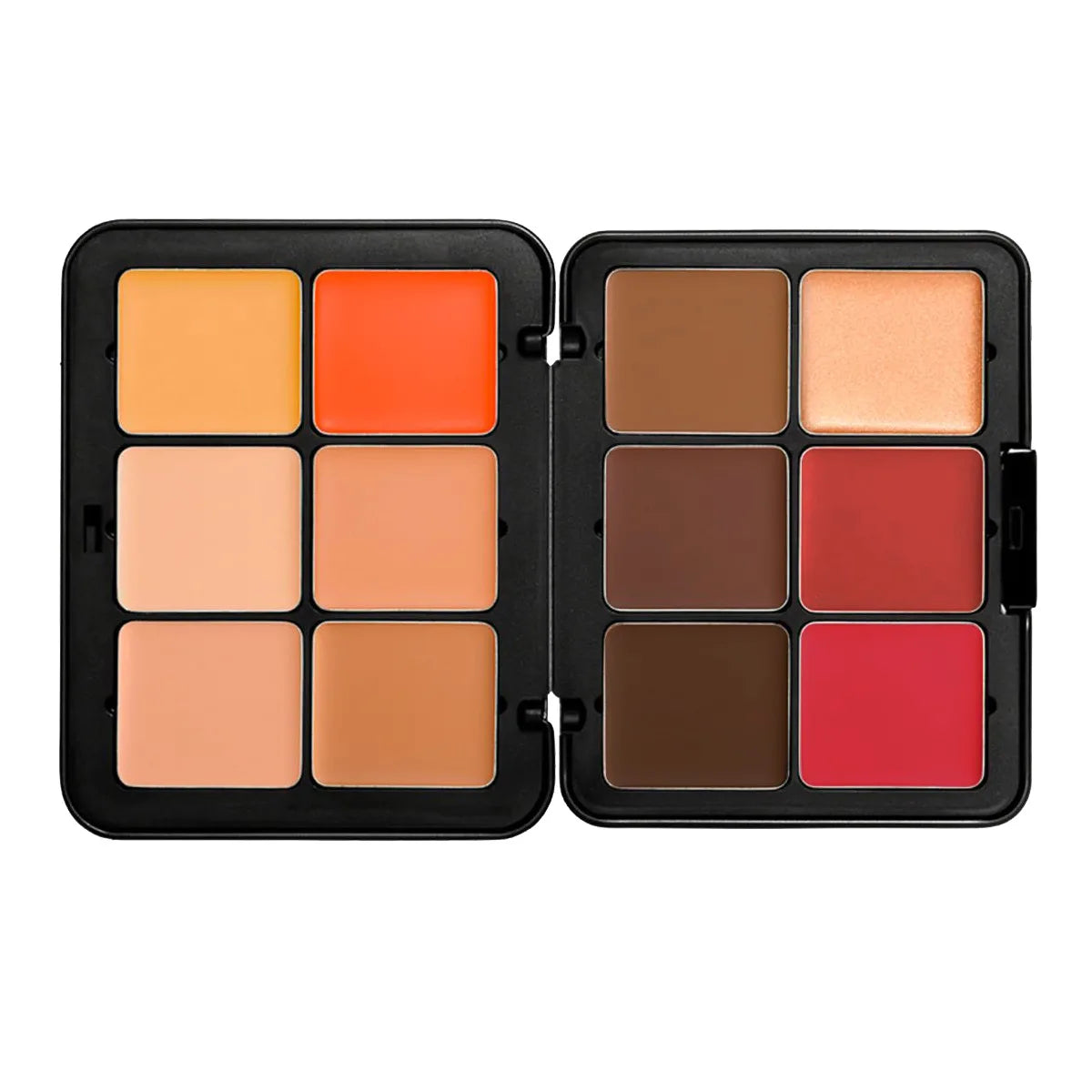 Multi Color Concealer Palette