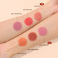Pigmented Lip Cheek Stick